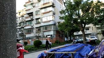 南公村小区爆料视频,真实生活场景引发热议 第3张 南公村小区爆料视频,真实生活场景引发热议 第3张